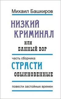 Обложка книги «Банный вор»