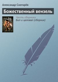 Обложка книги «Божественный вензель»