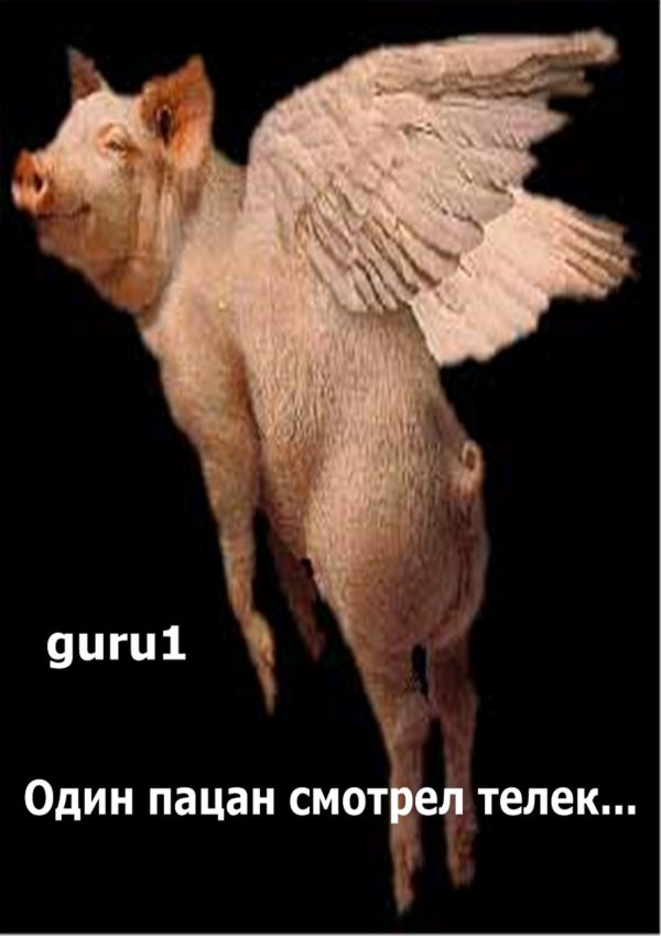 Обложка книги «Один пацан смотрел телек»