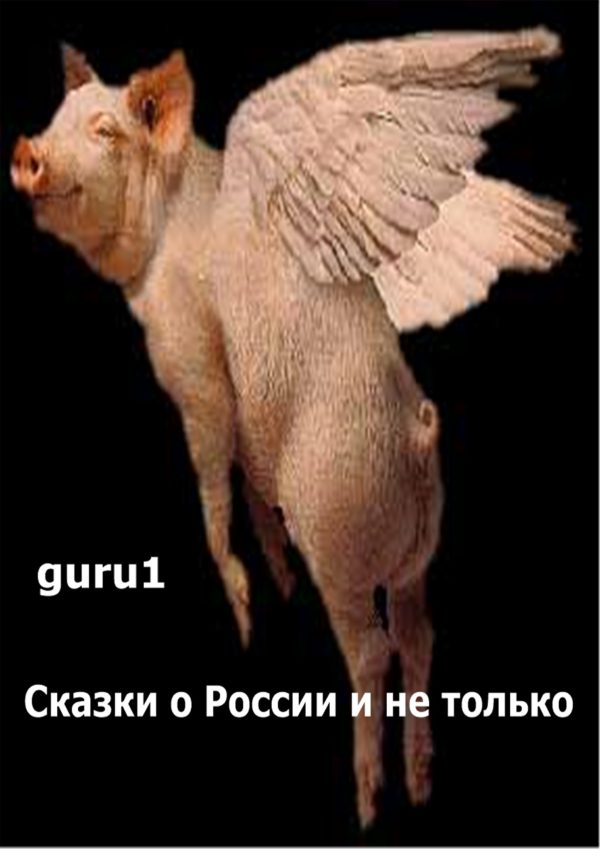 Обложка книги «Сказки про Россию и не только»