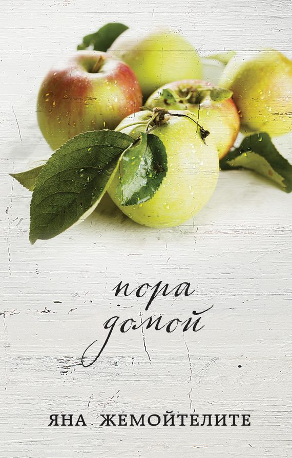 Обложка книги «Пора домой»