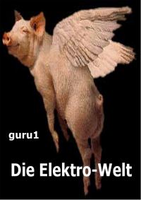 Обложка книги «Die Elektro-Welt»