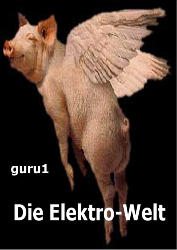 Обложка книги «Die Elektro-Welt»