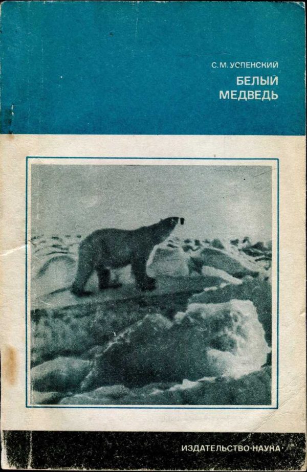 Обложка книги «Белый медведь»