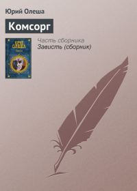 Обложка книги «Комсорг»