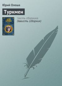 Обложка книги «Туркмен»