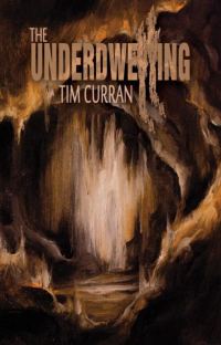 Обложка книги «The Underdwelling»
