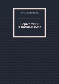 Обложка книги «Серые тени в ночной тьме»