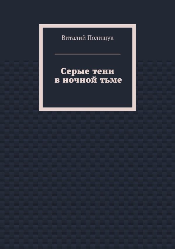 Обложка книги «Серые тени в ночной тьме»
