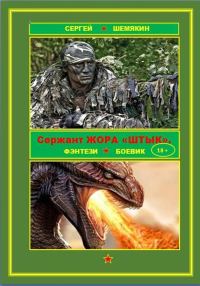 Обложка книги «Сержант Жора Штык»
