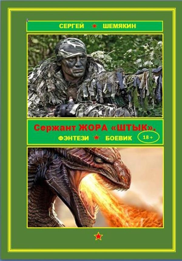 Обложка книги «Сержант Жора Штык»
