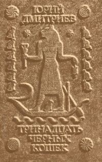 Обложка книги «Тринадцать черных кошек»