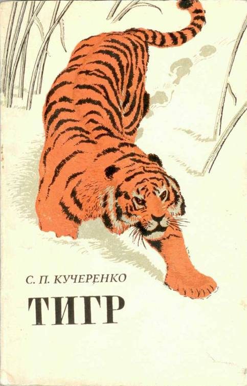 Обложка книги «Тигр»
