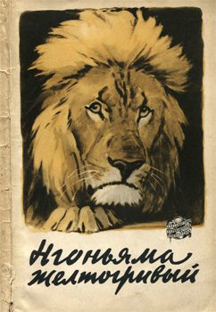 Обложка книги «Нгоньяма желтогривый»