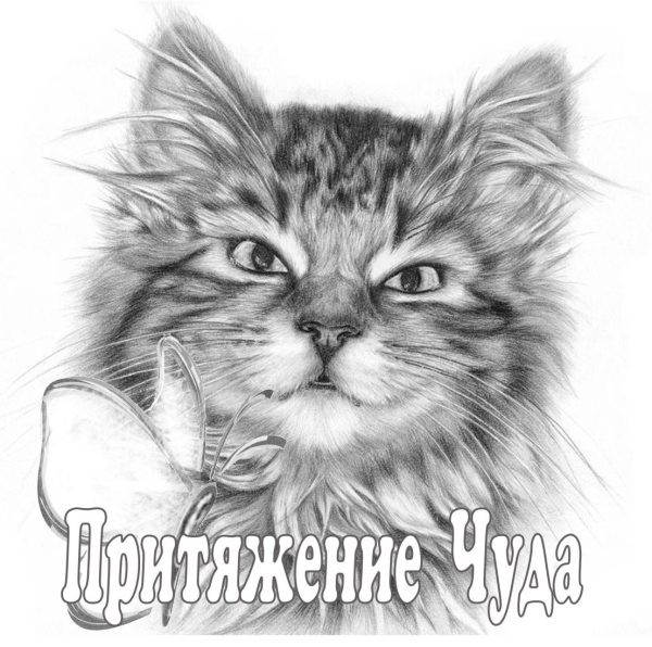 Обложка книги «Притяжение чуда»