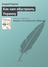 Обложка книги «Как нам обустроить Украину»