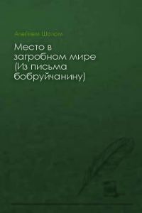 Обложка книги «Место в загробном мире (Из письма бобруйчанину)»