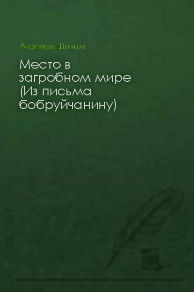 Обложка книги «Место в загробном мире (Из письма бобруйчанину)»