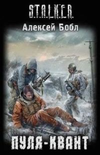Обложка книги «Пуля-квант»