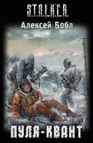 Обложка книги «Пуля-квант»