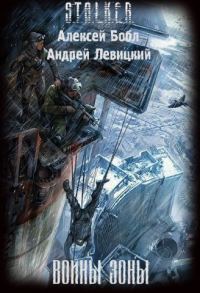 Обложка книги «Воины Зоны»