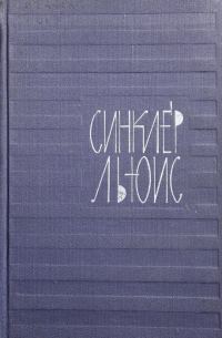 Обложка книги «Том 5. Энн Виккерс»