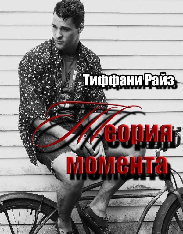 Обложка книги «Теория момента»