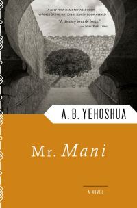 Обложка книги «Mr. Mani»