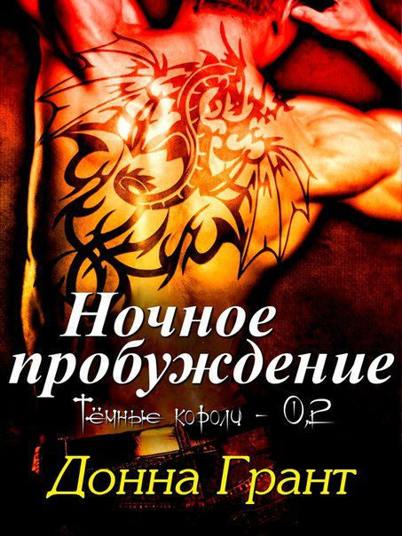 Обложка книги «Ночное пробуждение»