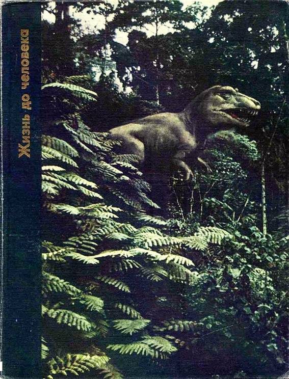 Обложка книги «Жизнь до человека»