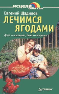 Обложка книги «Лечимся ягодами. Дача — вылечит, дача — исцелит»