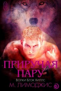 Обложка книги «Приручая пару»