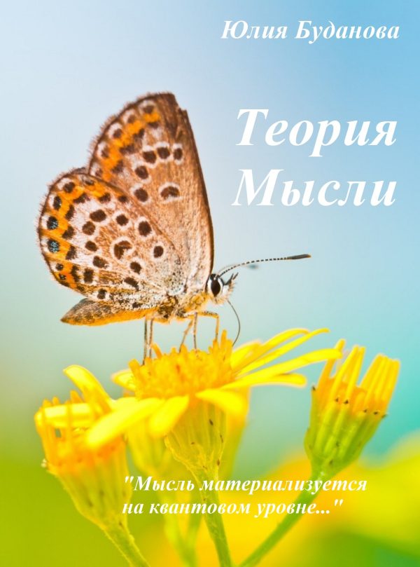 Обложка книги «Теория мысли. Квантовый уровень.»