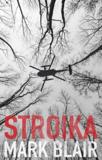 Обложка книги «Stroika»