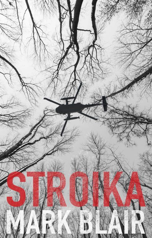 Обложка книги «Stroika»