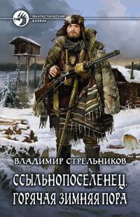 Обложка книги «Горячая зимняя пора»