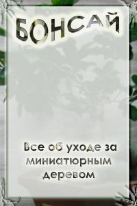 Обложка книги «Все об уходе за миниатюрным деревом»