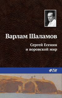 Обложка книги «Сергей Есенин и воровской мир»