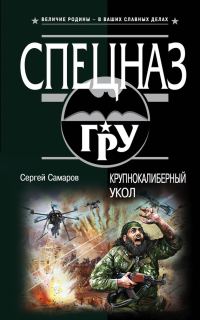 Обложка книги «Крупнокалиберный укол»
