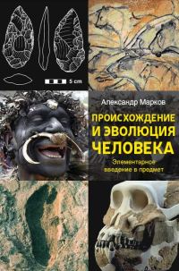 Обложка книги «Происхождение и эволюция человека»