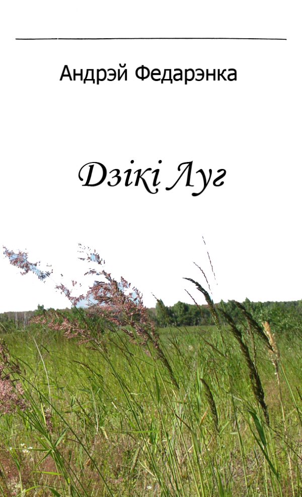 Обложка книги «Дзікі Луг»