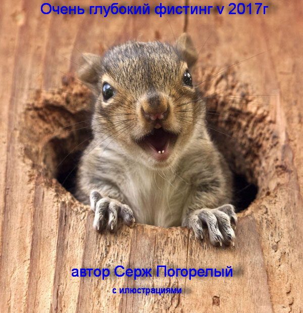 Обложка книги «Очень глубокий фистинг с илюстрациями (v.2) 2017г»