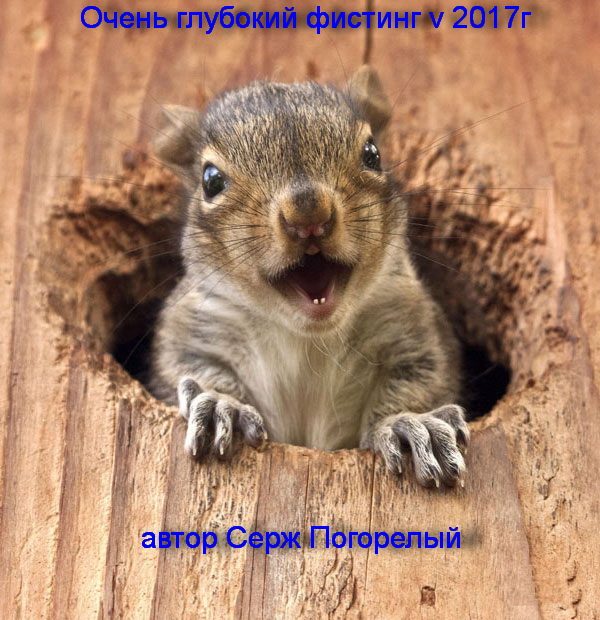Обложка книги «Необыкновенный секс - глубокий фистинг, рассказы РУНЕТА (v.2) 2017г»