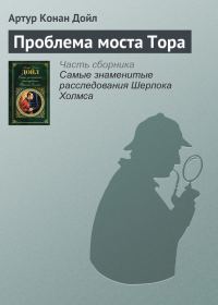 Обложка книги «Проблема моста Тора»