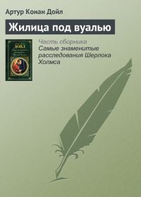 Обложка книги «Жилица под вуалью»