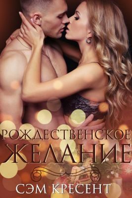 Обложка книги «Рождественское желание»