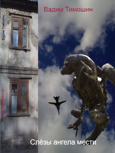 Обложка книги «Слезы ангела мести»