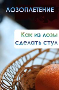 Обложка книги «Как из лозы сделать стул»