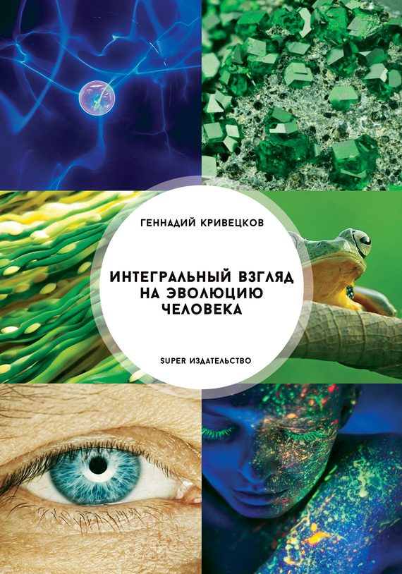 Обложка книги «Интегральный взгляд на эволюцию человека»