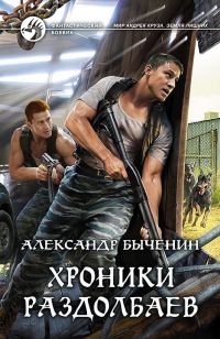 Обложка книги «Хроники раздолбаев»